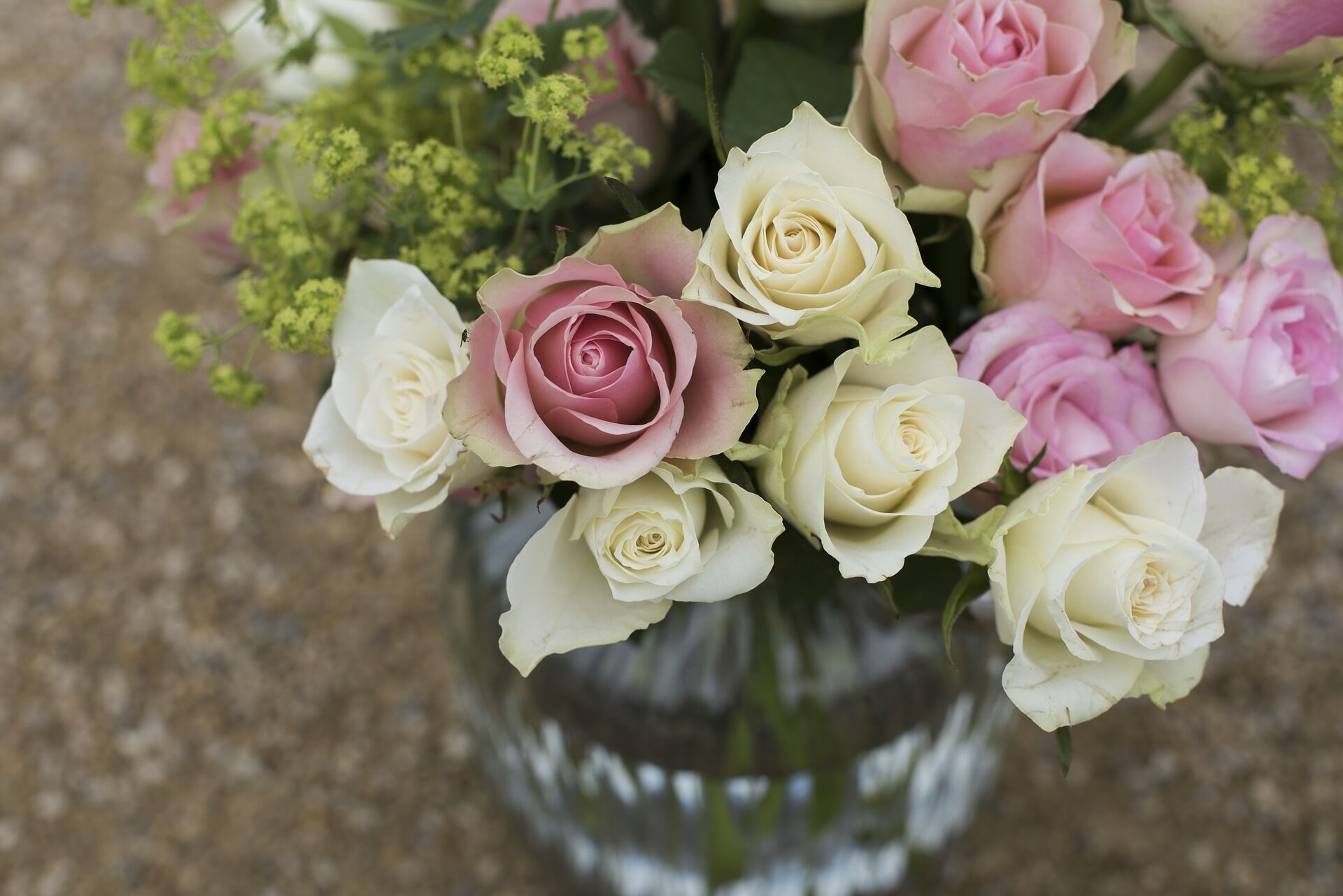 bloom-1867911_1920
